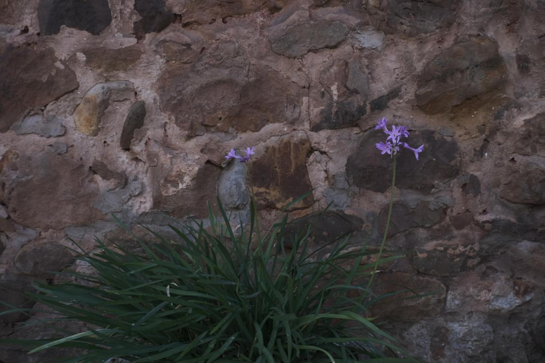 Posada La Estela De Barros Corrales De Buelna Exteriér fotografie